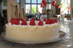2011-0008-0603-0009-LF1