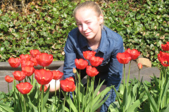 2011-0003-0401-0040-LF1