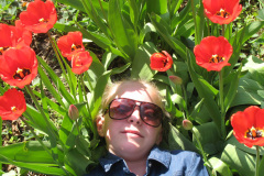 2011-0003-0401-0049-LF1