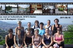 2011-0010-0616-0001-LF1