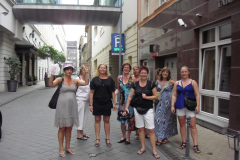 2011-0010-0616-0042-LF1