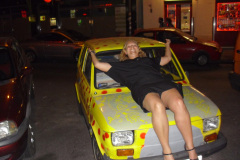 2011-0010-0616-0049-LF1