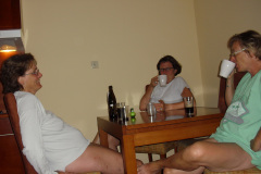 2011-0010-0616-0054-LF1