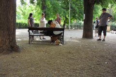 2011-0010-0616-0065-LF1