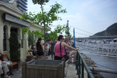 2011-0010-0616-0090-LF1