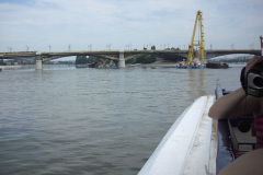 2011-0010-0616-0099-LF1