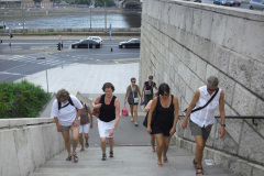 2011-0010-0616-0118-LF1