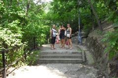 2011-0010-0616-0126-LF1