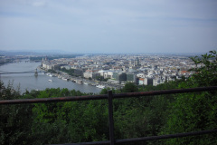 2011-0010-0616-0131-LF1