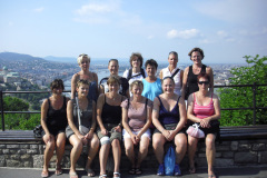 2011-0010-0616-0133-LF1