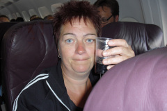 2011-0010-0616-0141-LF1