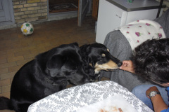 2011-0010-0616-0148-LF1