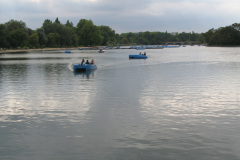 2011-0014-0728-0416-LF1