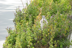 2011-0014-0728-0417-LF1