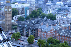 2011-0014-0729-0619-LF1