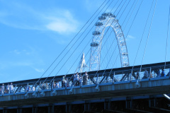 2011-0014-0730-1849-LF1
