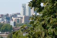 2011-0014-0730-1911-LF1