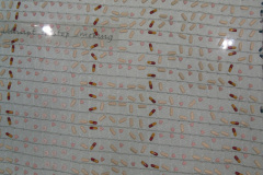 2011-0014-0730-2005-LF1