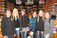 2011-0004-0403-0011-LF1