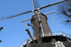 2011-0004-0403-0031-LF1