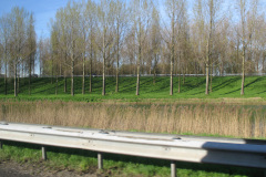 2011-0004-0403-0077-LF1