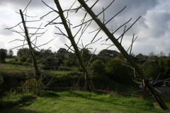 2011-0020-1109-0025-LF1