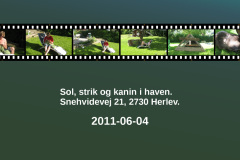 2011-0009-0604-0001-LF1