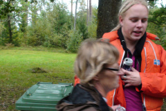 2012-0014-0915-0010-LF1