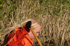 2012-0014-0915-0025-LF1