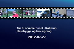 2012-0011-0707-0001-LF1