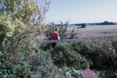 2012-0011-0707-0002-LF1
