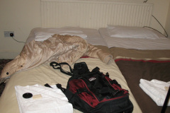 2012-0002-0318-0002-LF1