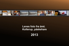 2013-0003-0400-0001-LF1