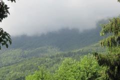 2013-0006-0730-0621-LF1-