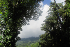 2013-0006-0730-0622-LF1-