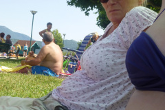 2013-0006-0730-0732-LF1