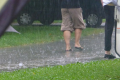 2013-0006-0730-0901-LF1