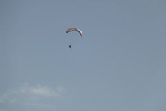 2013-0006-0731-1310-LF1