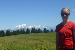 2013-0006-0801-1375-LF1