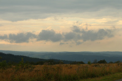 2013-0007-0824-0030-LF1
