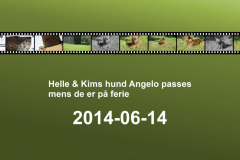2014-0008-0510-0001-LF1