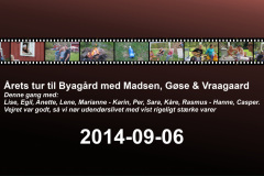 2014-0017-0905-0001-LF1