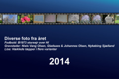 2014-0031-0000-0001-LF1