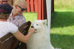 2014-0015-0806-0813-LF1