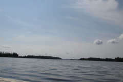 2014-0015-0806-1004-LF1