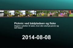 2014-0015-0808-1400-LF1