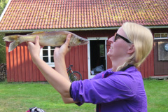 2014-0015-0808-1518-LF1