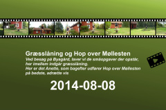 2014-0015-0808-1600-LF1