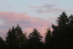 2014-0015-0808-1726-LF1