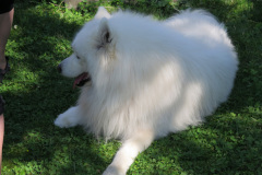 2014-0012-0719-0009-LF1